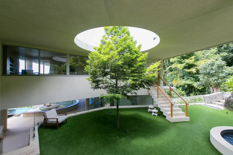Courtyard garden, tree and skylight