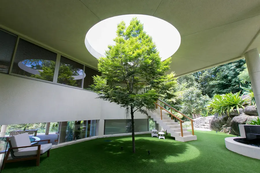 Courtyard garden under an open skylight