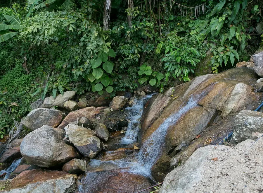 Natural cascade beside the garden